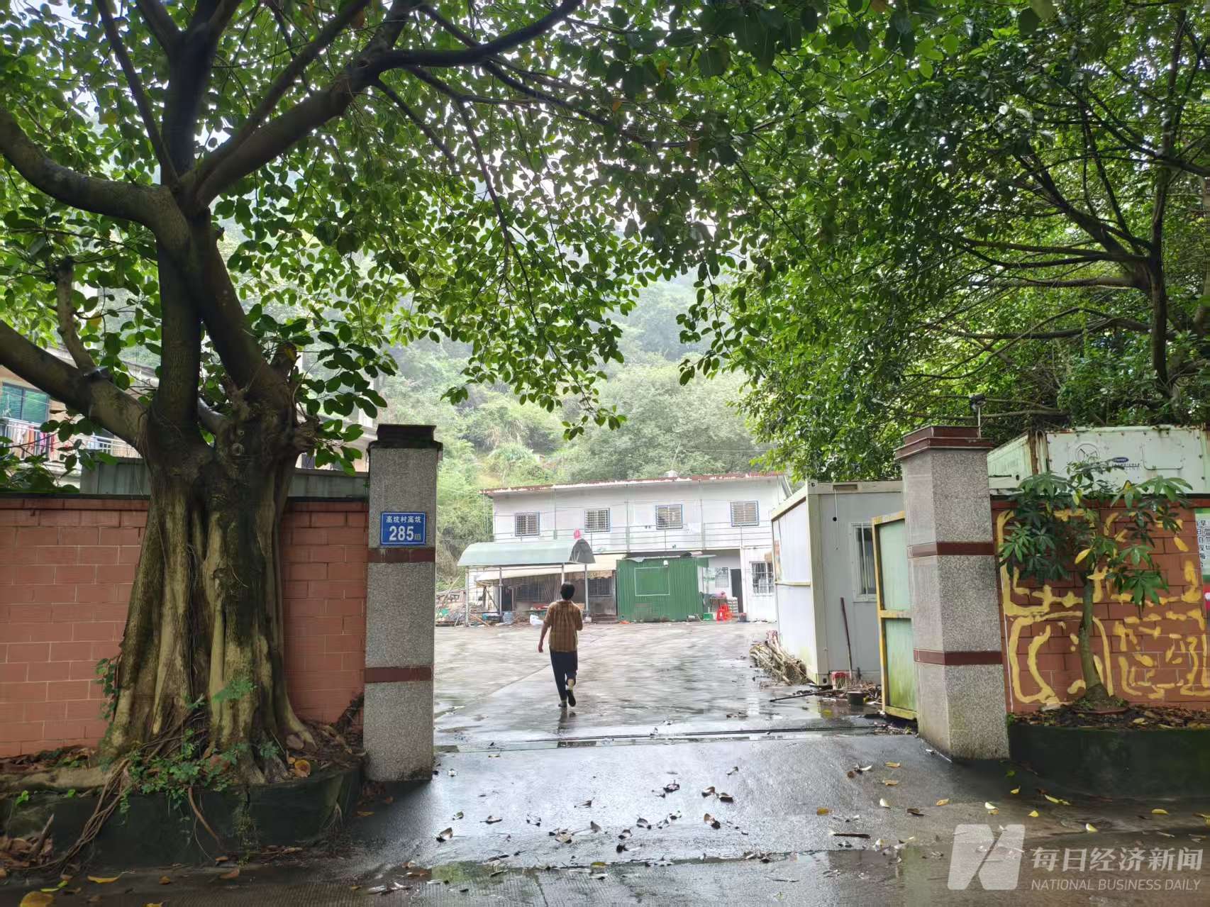 实探漩涡中的漳州杨梅：收购价跌至2元内，果农如何拒绝“潜规则”？ (http://www.photoreceiver.com/) 财经 第2张
