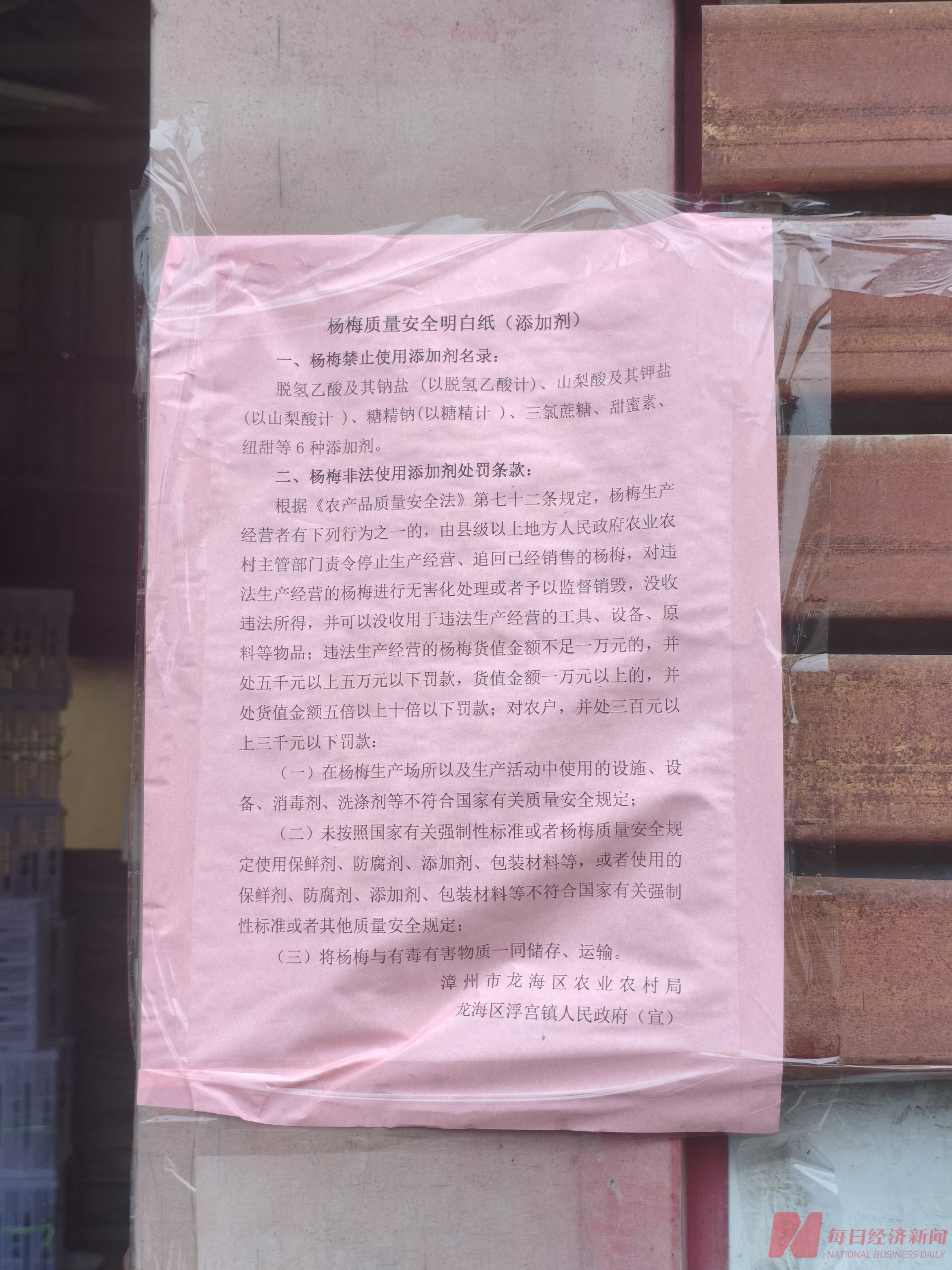 实探漩涡中的漳州杨梅：收购价跌至2元内，果农如何拒绝“潜规则”？ (http://www.photoreceiver.com/) 财经 第1张
